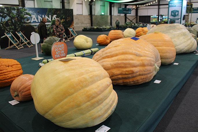 malvern-2025-giant-pumpkin-display