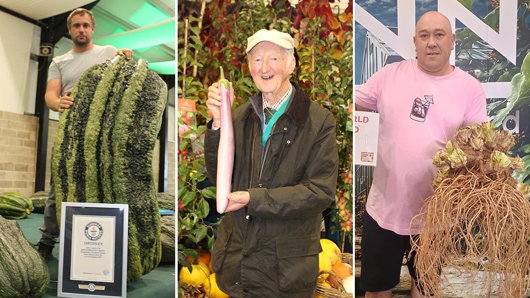 New records set at Malvern Autumn Show 2025 for the longest marrow longest aubergine and heaviest celeriac