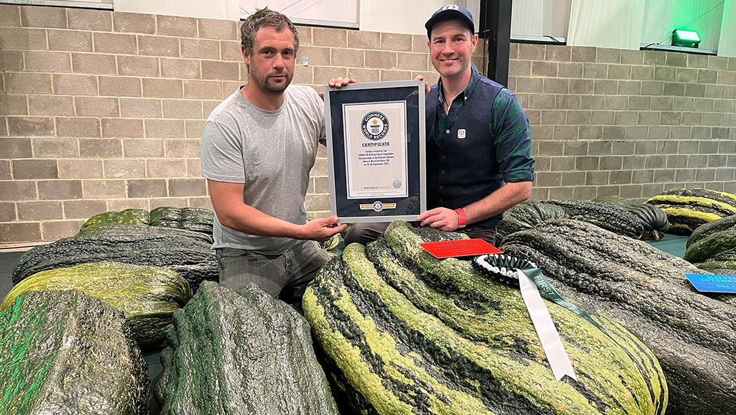 New records set at Malvern Autumn Show 2025 for the longest marrow longest aubergine and heaviest celeriac