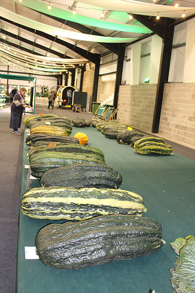 malvern-2025-giant-marrow-entries