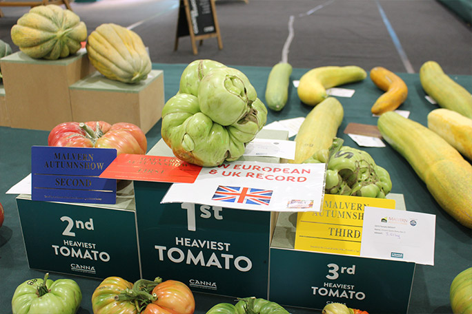 malvern-2025-new-uk-and-european-record-for-heaviest-tomato-grown-by-douglas-smith