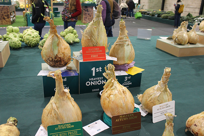 malvern-2025-onion-prize-winners