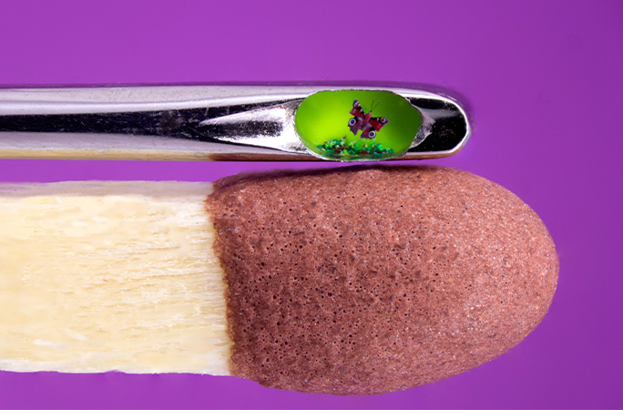 sculpture of an invertebrate