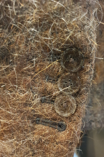 Close up of buttons