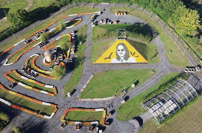 an aerial view of the Ozzy Osbourne pumpkin mosaic