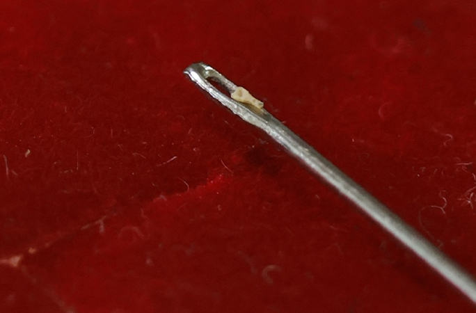 spoon sitting on a needle