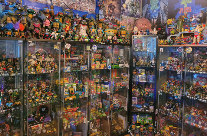 Dave's shelves of turtles merch