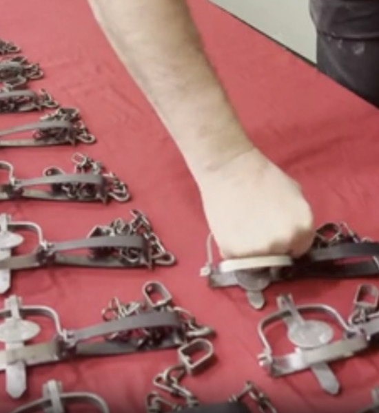 Close up of the trap on Casey's knuckles