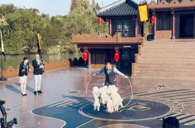 The dogs jumping rope