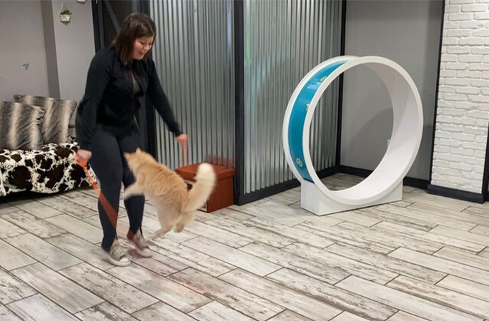 Kit Kat jumping rope