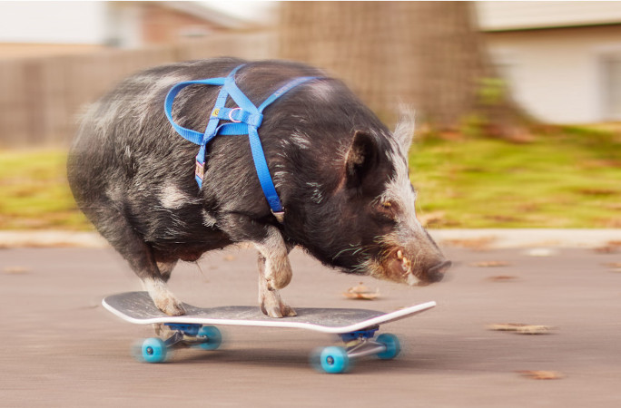 Norbert skateboarding