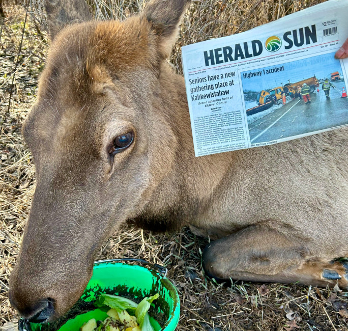 Beauty with a dated newspaper