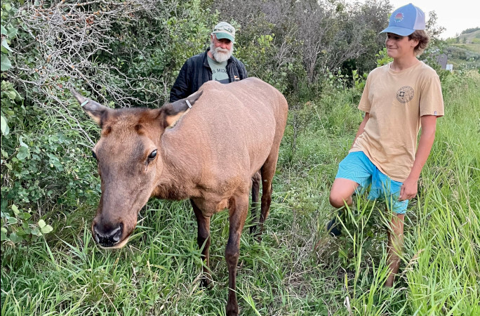 Lloyd, Beauty, and a teenager