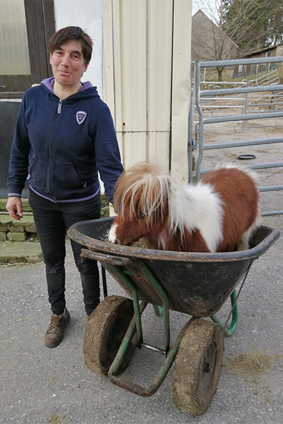 Pumuckel standing in a wheelbarrow