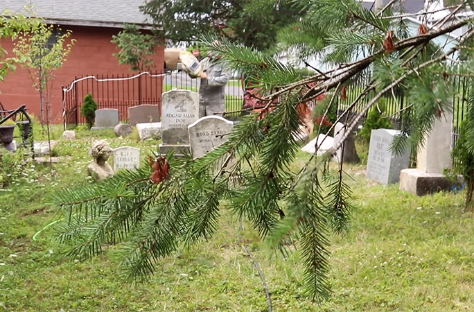 some of the tombstones