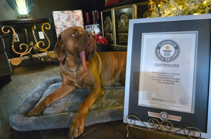 Ozzy and his GWR certificate