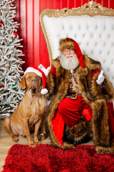 Ozzy with Santa