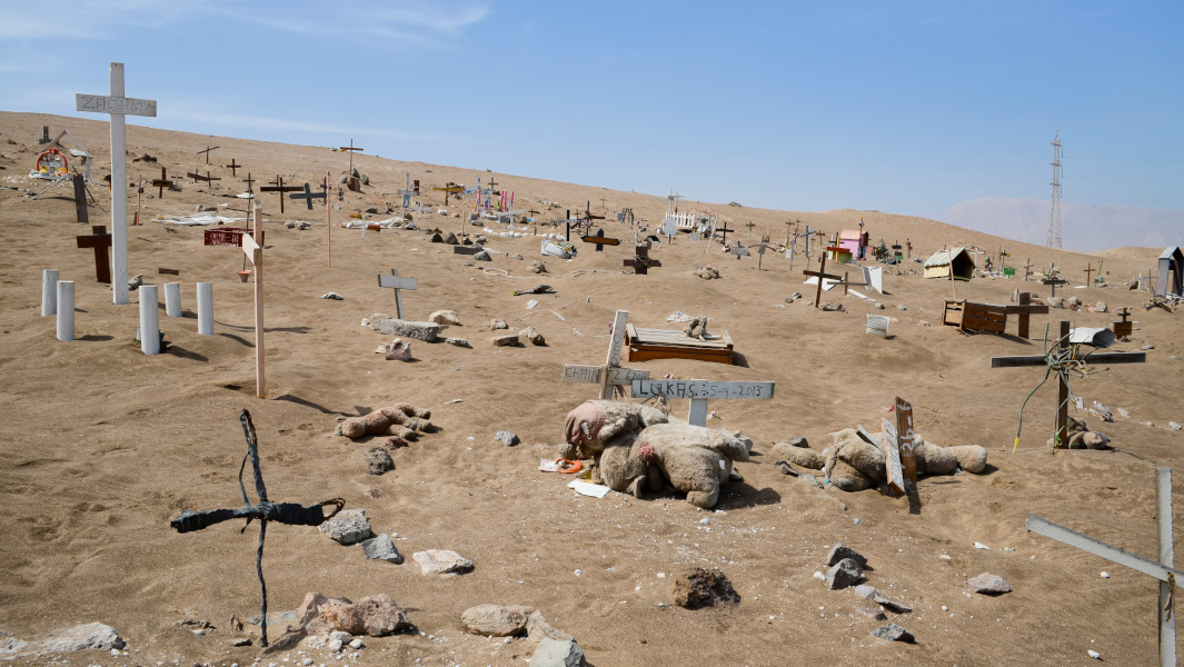 Image of a pet cemetery in Chile