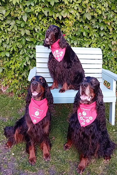 Sharwood and his doggy family