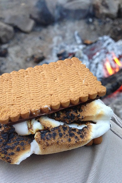 Generic picture of a s'more. Photo credit: gwgladstone/ pixabay.