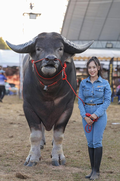 King Kong standing next to a woman