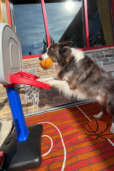 Leonard Lee dunking a basketball