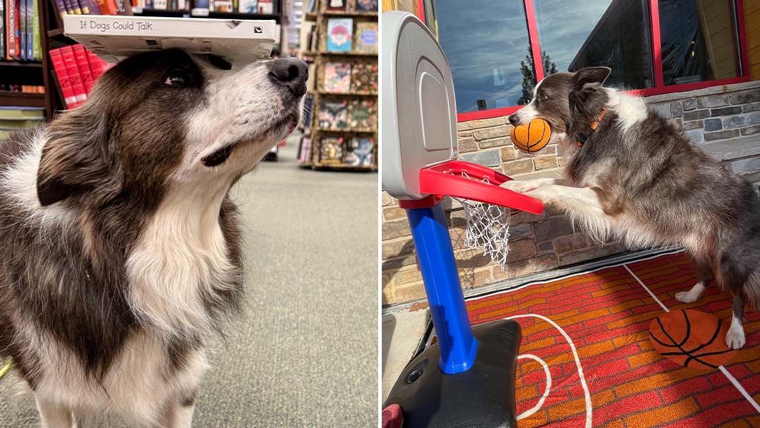 Split image of Leonard Lee balancing a book on his head and slam-dunking a basketball