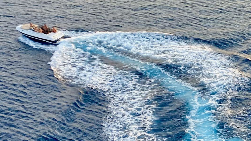 A generic picture of a speedboat in the water. Photo credit: iSaw Company/Pexels 