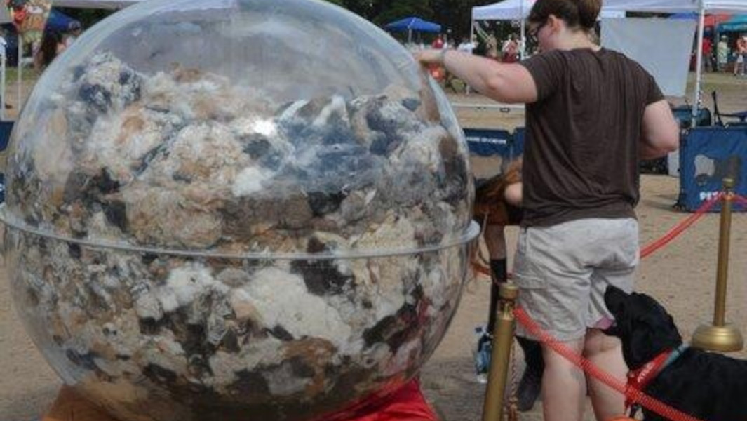 Woman adding fur to a large bowl of dog hair