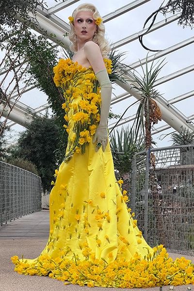 Marmalade wearing a dress covered in daffodils