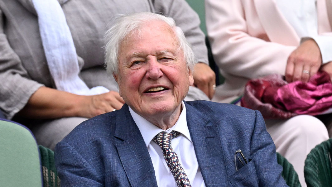 Sir David Attenborough sitting in a crowd and smiling