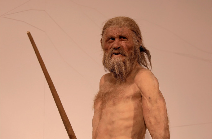 Recreation of what Otzi would have looked like