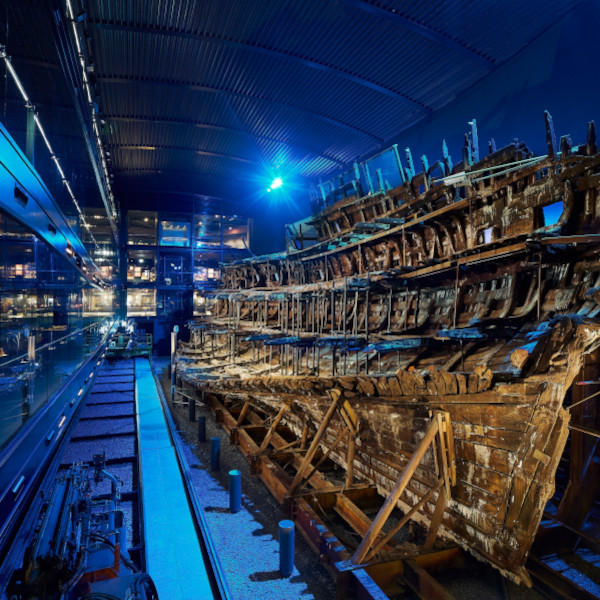The recovered Mary Rose