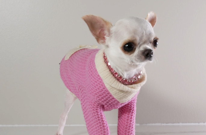 Pearl in her all-pink outfit