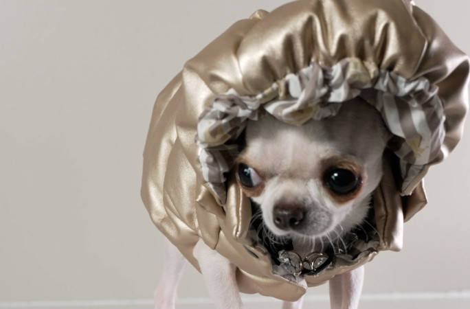 Pearl with her hood up looking demure