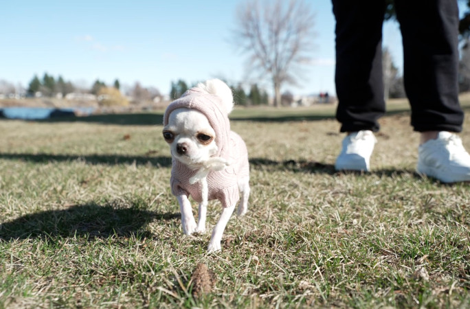Pearl in her pink coat