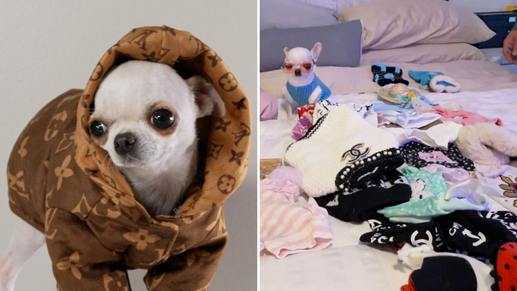 Pearl surrounded by her clothes and in a hoody