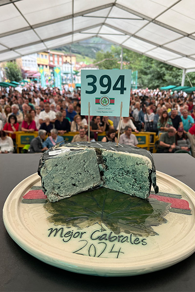the cheese on a plate