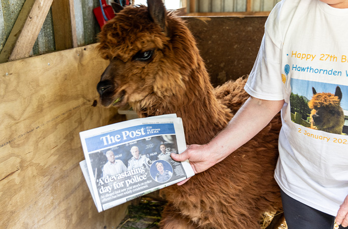 Wainui on his 27th birthday with a newspaper