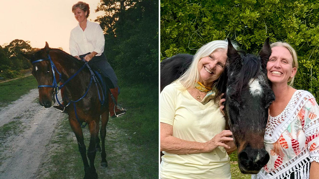 split header of oldest horse Mokie in 1992 and 2025