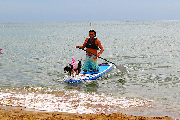 benn-gray-and-boo-taking-part-in-the-main-paddleboarding-competition-at-the-UK-dog-surfing-championships