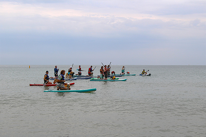 competitors-line-up-for-the-50-m-paddleboard-sprint-at-the-uk-dog-surfing-championship-in-poole-dorset