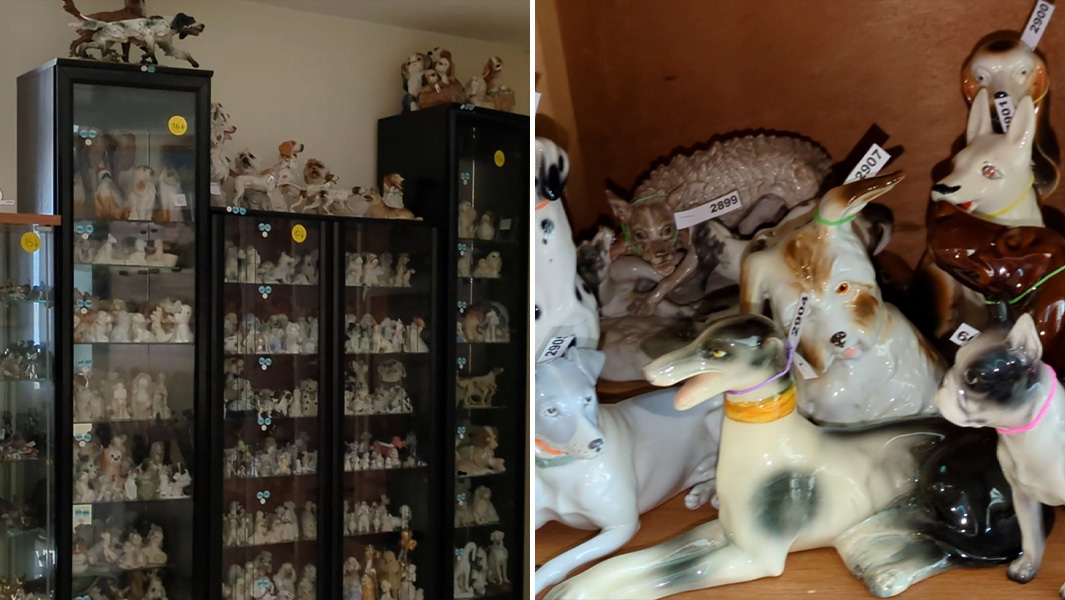 parts of the largest collection of dog-related items