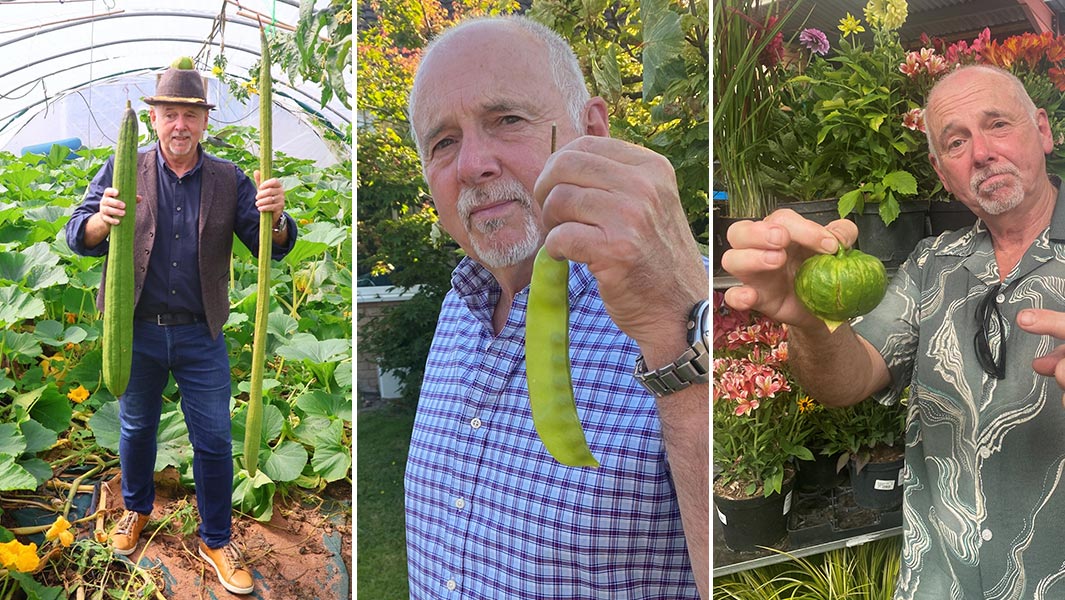 Competitive gardener Graham Barratt with the longest luffa heaviest luffa longest pea pod and heaviest tomatillo
