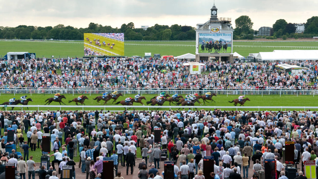 Horses racing on a track