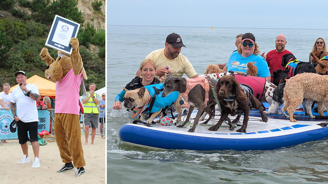 most dogs on a paddleboard and mascot celebrating with guinness world records certificate at uk dog surfing championships