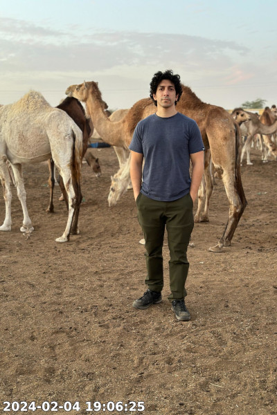 With camels in Mauritania