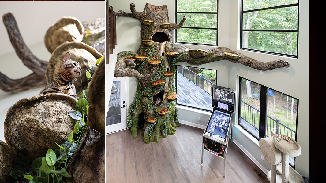 tallest-residential-cat-scratching-tree-with-a-cat-lying-on-one-of-the-fungus-steps-on-trunk
