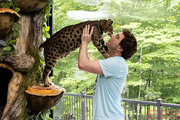 Will-Powers-with-tallest-cat-Fenrir-standing-on-one-of-the-cat-tree-bracket-fungi-steps