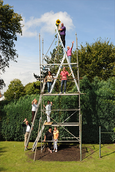 former-tallest-sunflower-grown-by-Hans-Peter-Schiffer-in-germany-in-2014